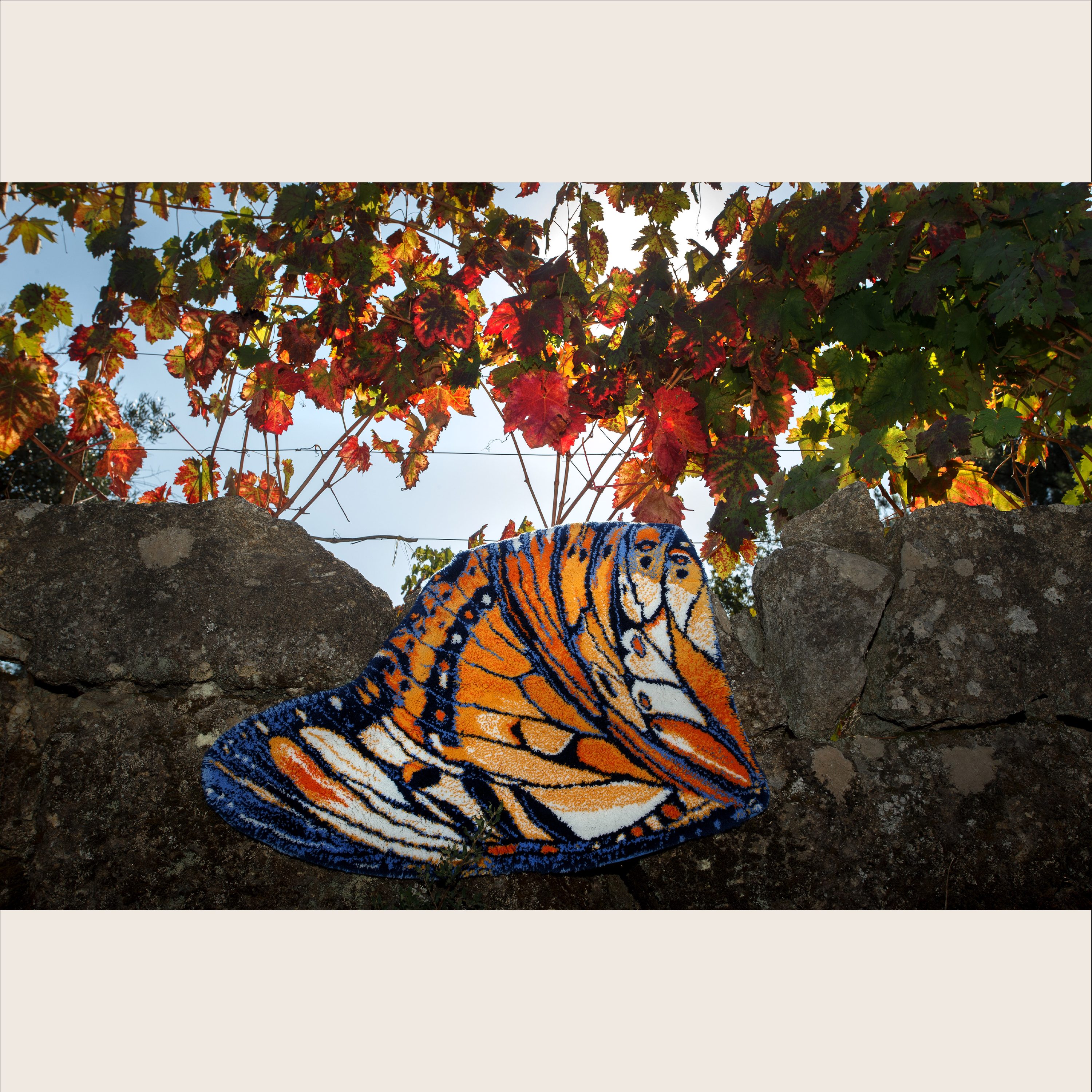 Badedecken von Mariposa